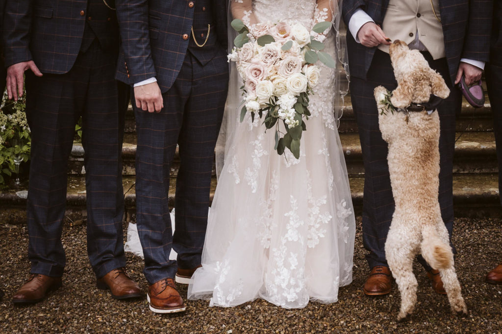Dog at wedding captured in documentary photography style