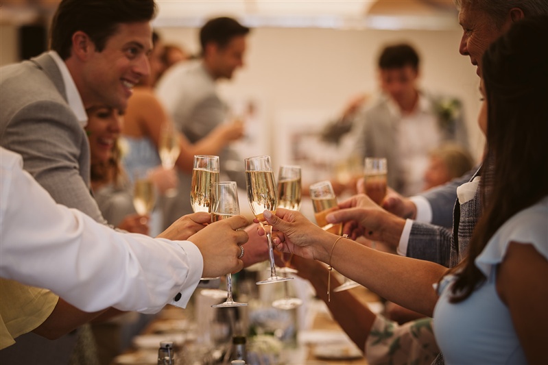 Guests toasting the happy couple