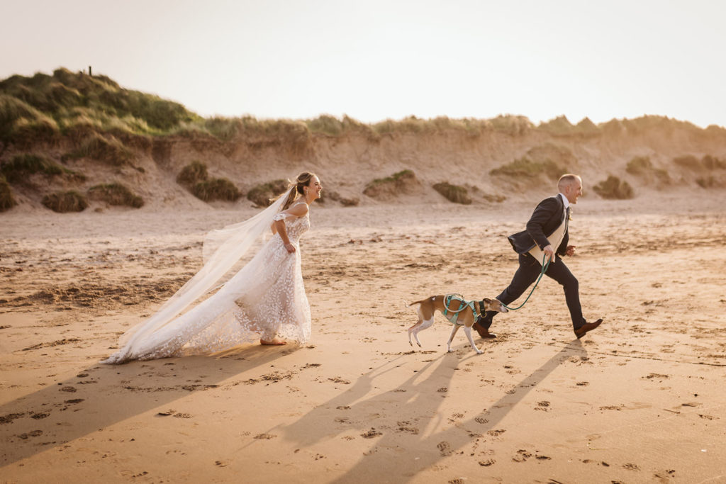 Dogs at weddings - Newton Hall