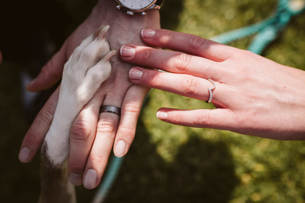 Dogs at weddings