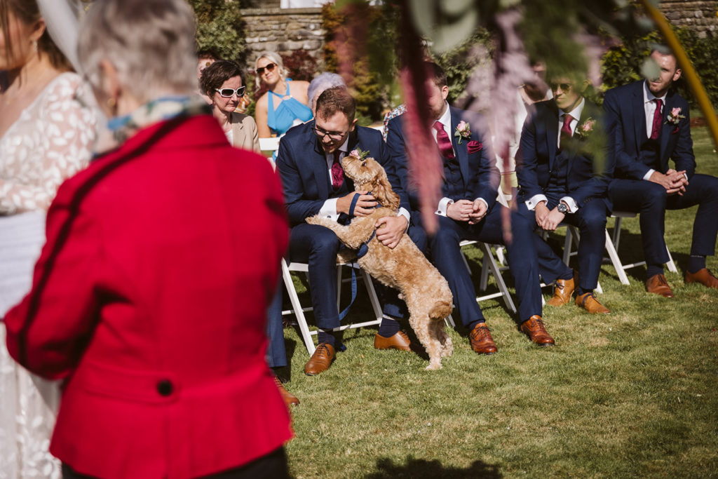 The ring bearer dog cuddles one of the Groomsmen