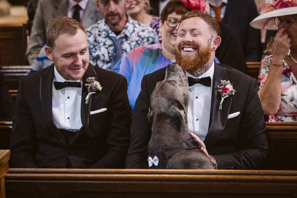 The couple's blue staffordshire bull terrier makes his presence known with the groomsmen