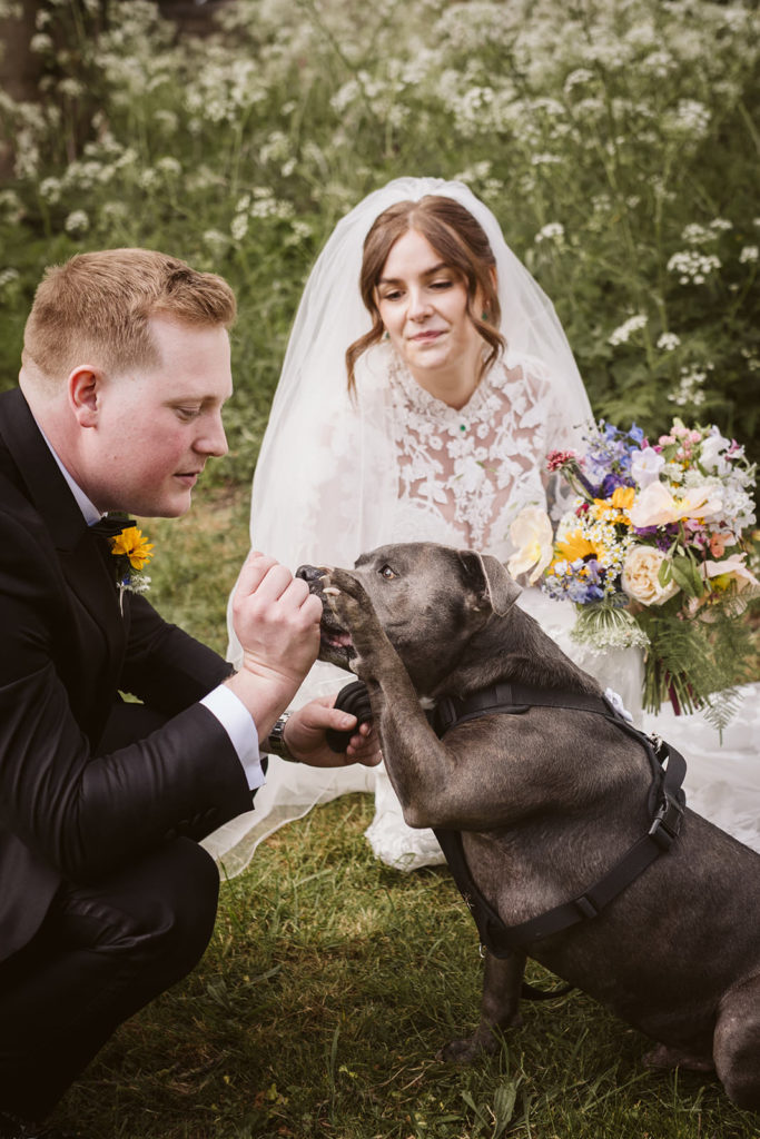 Wedding moments with the dog.